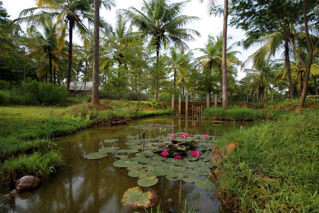 Shreyas Retreat Hotel Nelamangala Exterior photo